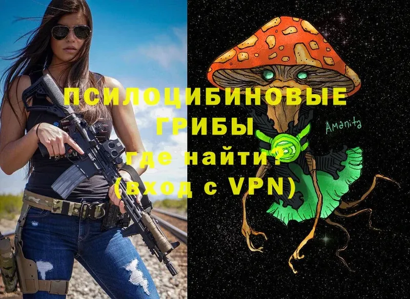 omg зеркало  Гатчина  Галлюциногенные грибы Psilocybe  закладки 